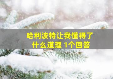 哈利波特让我懂得了什么道理 1个回答